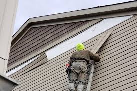 Best Custom Trim and Detailing for Siding  in USA